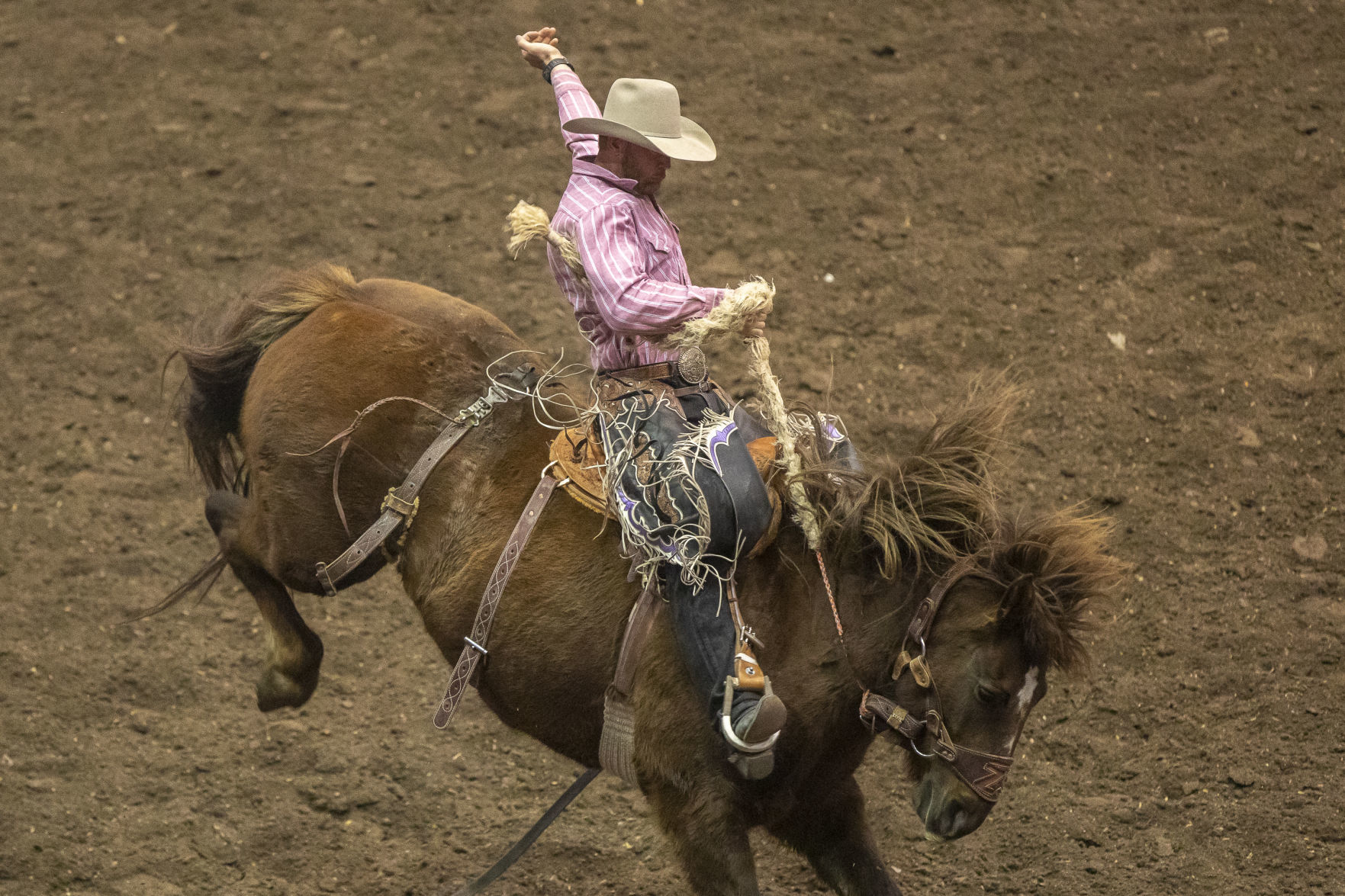 Rodeo Rapid City